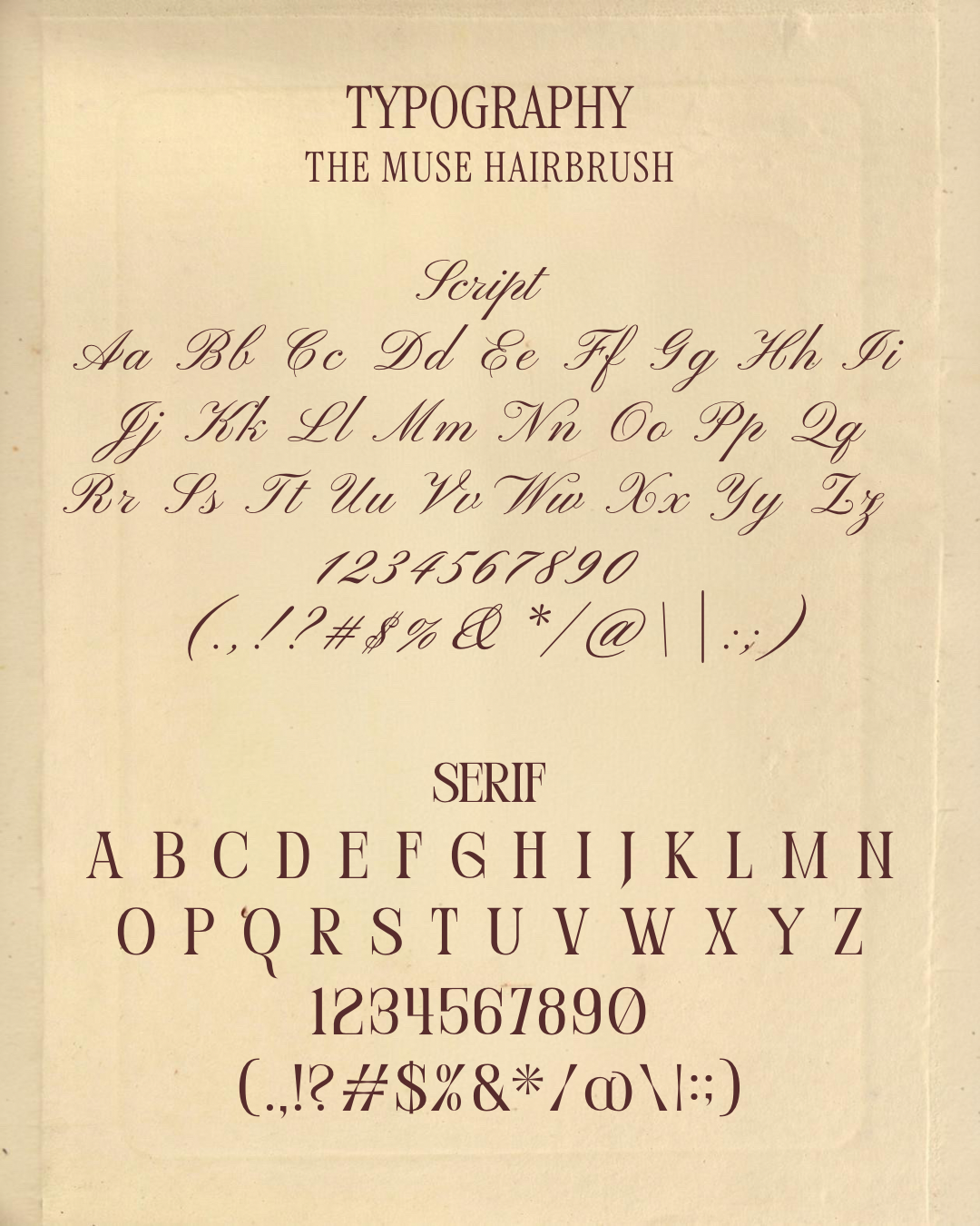 The Muse Hairbrush