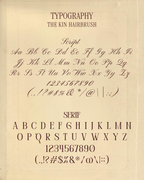 The Kin Hairbrush